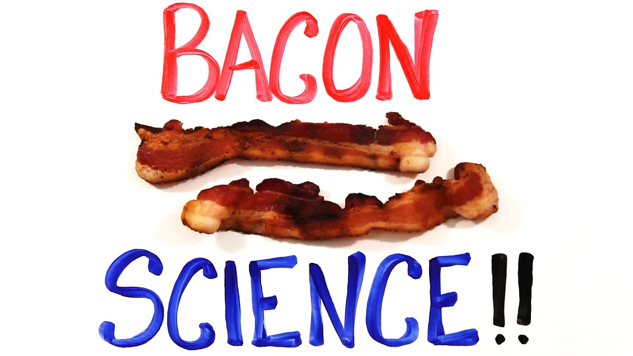 Bacon的科學 The Science Of Bacon Voicetube 看影片學英語