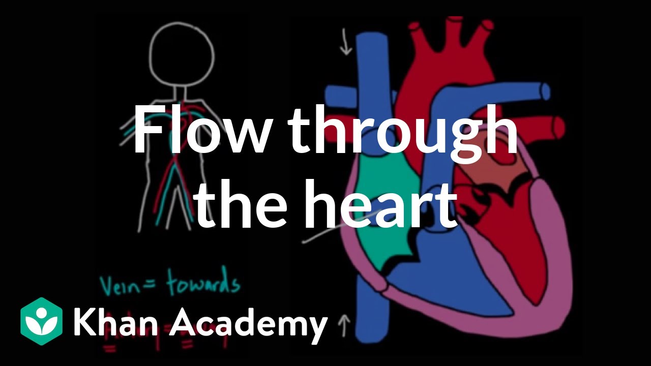 心の中を流れる Flow Through The Heart Voicetube 動画で英語を学ぶ