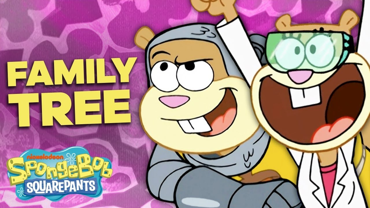 Sandy Cheeks家系図 スポンジボブ スクエアパンツ The Sandy Cheeks Family Tree Spongebob Squarepants Voicetube 動画で英語を学ぶ