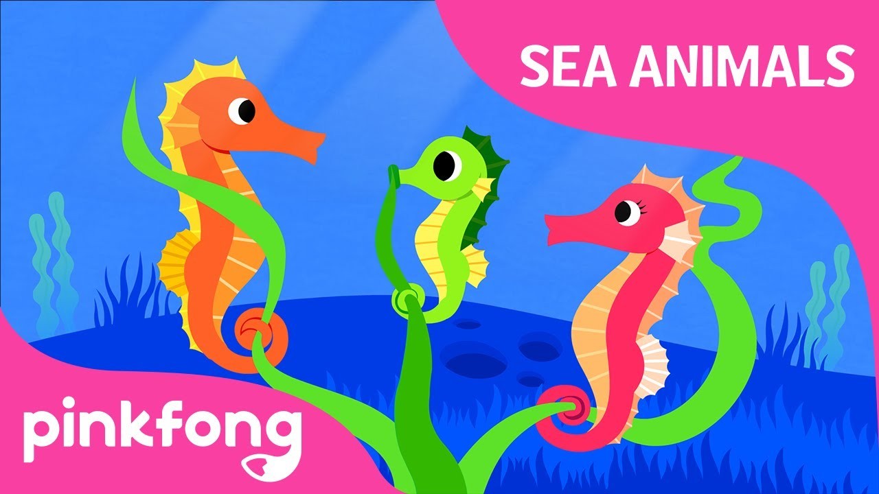 嘿嘿嘿 海馬 海洋動物之歌 動物之歌 粉紅兒童之歌 Hey Ho Hey Seahorse Sea Animals Song Animal Song Pinkfong Songs For Children Voicetube 看影片學英語