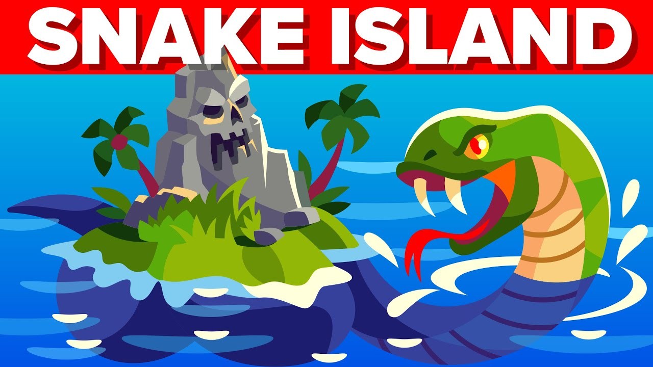 地球上で最も危険な場所 スネークアイランド Most Dangerous Place On Earth Snake Island Voicetube 動画で英語を学ぶ