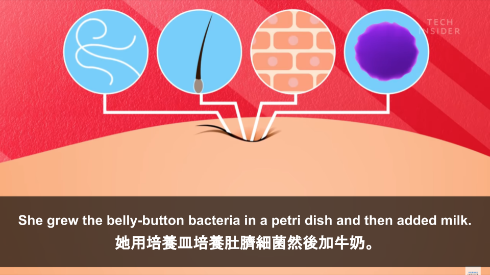 what-s-inside-your-belly-button-voicetube