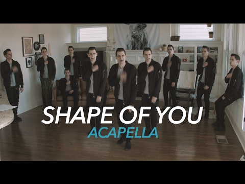 Ed Sheeran Shape Of You 阿卡貝拉版 Ed Sheeran Shape Of You Acapella 歌詞 Lyrics Voicetube 看影片學英語