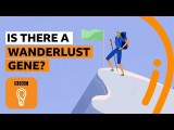 【英語で雑学】「旅行好き」は実は遺伝子と関係してる？！ Image