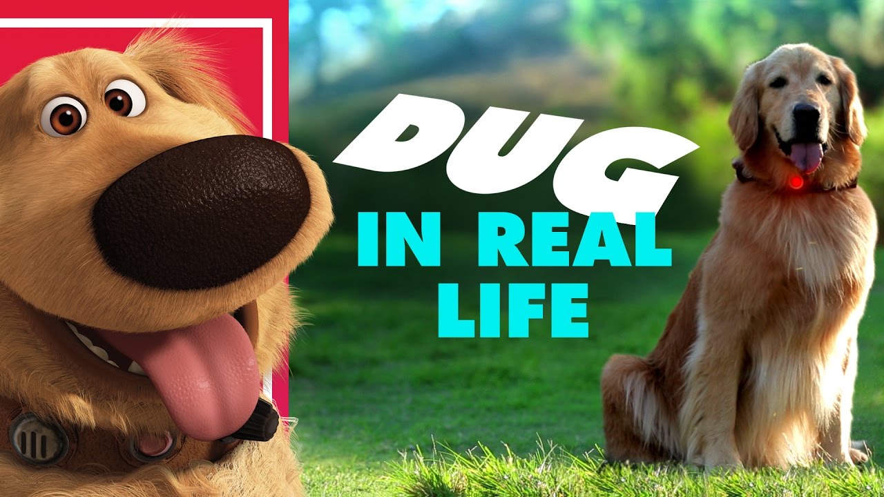 カールじいさんの空飛ぶ家 のダグ実物化サプライズ Disney Pixar S Dug The Talking Dog In Real Life Oh My Disney Irl ボイスチューブ Voicetube 動画で英語を学ぶ