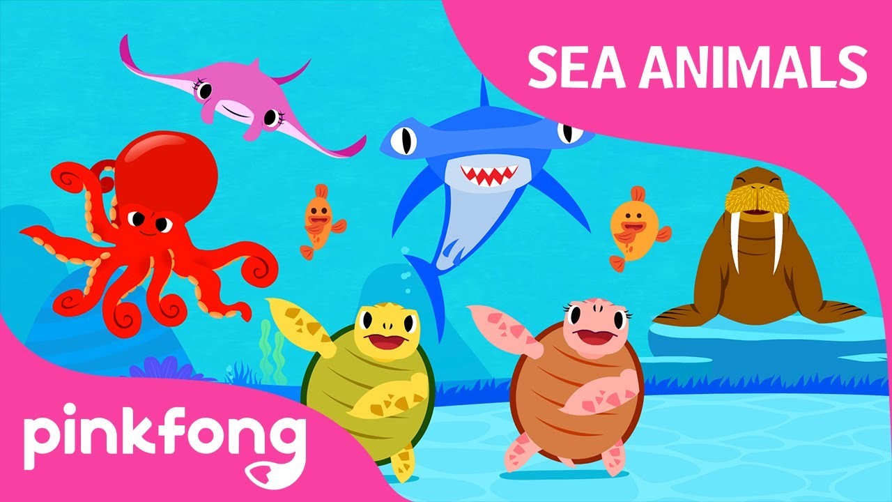 Move Like Sea Animals | Sea Animal Songs | Animal Songs | Pinkfong Songs  for Children - VoiceTube: Learn English through videos!