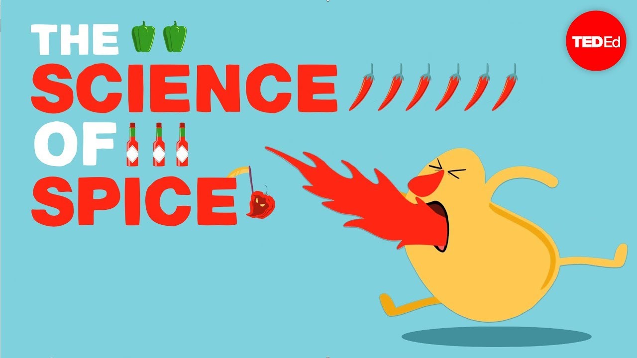 Ted Ed 辣味的科學 羅絲 伊芙蕾斯 Ted Ed The Science Of Spiciness Rose Eveleth Voicetube 看影片學英語