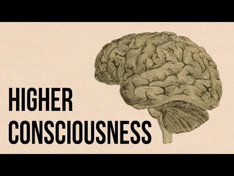 高次意識 Higher Consciousness Voicetube 動画で英語を学ぶ