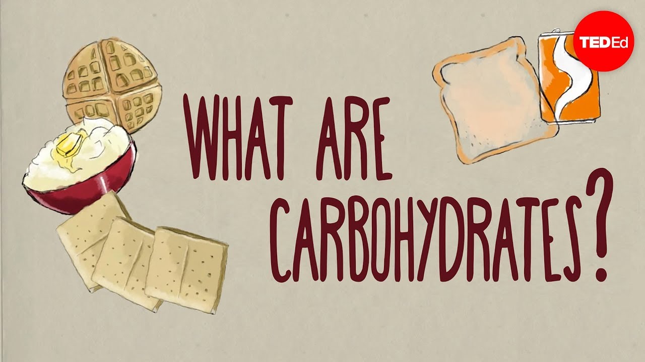 Ted Ed 碳水化合物如何影響你的健康 How Do Carbohydrates Impact Your Health Richard J Wood Voicetube 看影片學英語